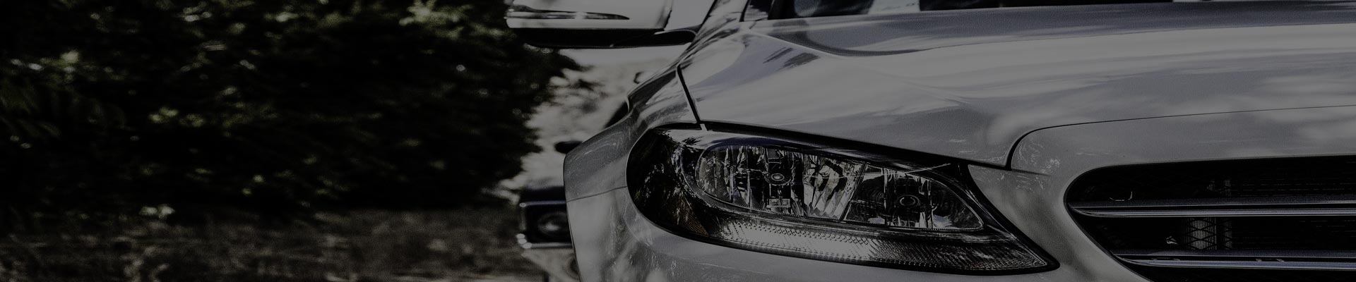 Customizeable Themes